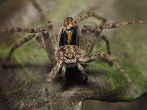 The hobbit was riding a giant spider!