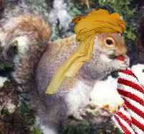 Squirrel Terrorist in Pennsylvania