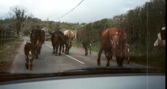 Northern Ireland Traffic jam