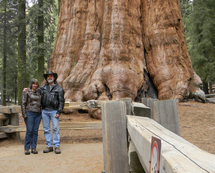 At the General Sherman Tree